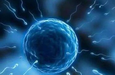 铜川宜君县试管婴儿哪家好