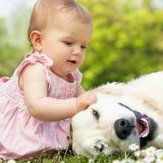 试管婴儿成功率有多高？哪些夫妻成功率更高？