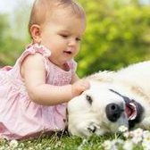 做试管婴儿的术前准备一览，保持身体健康真的很重要