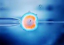 为什么试管移植要等半年时间？试管移植前有哪些注意事项