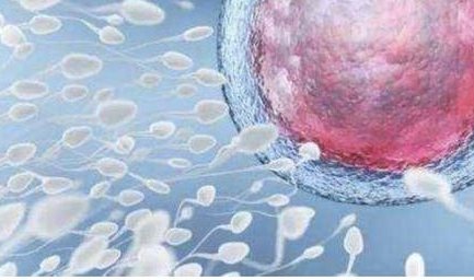 人工授精的成功率高吗 人工授精的过程是什么样的