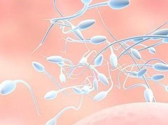 杭州地区有哪些私立的机构可以做试管技术？十大高蛋白蔬菜一览表