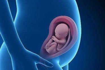 泰国2026年私立试管医院Top名单汇总，详细三代试管婴儿收费一览！